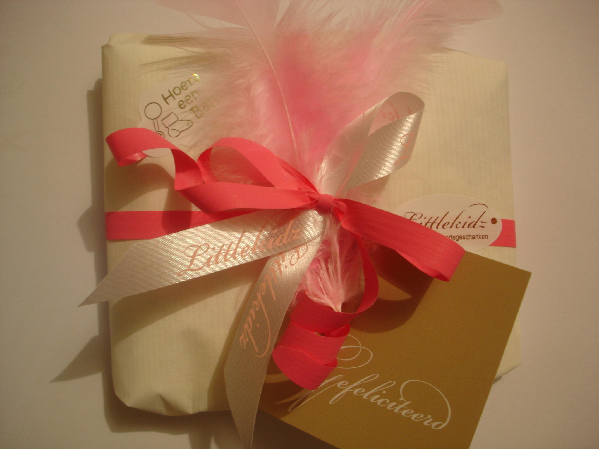 www.littlekidz.nl te koop-dsc07862-jpg