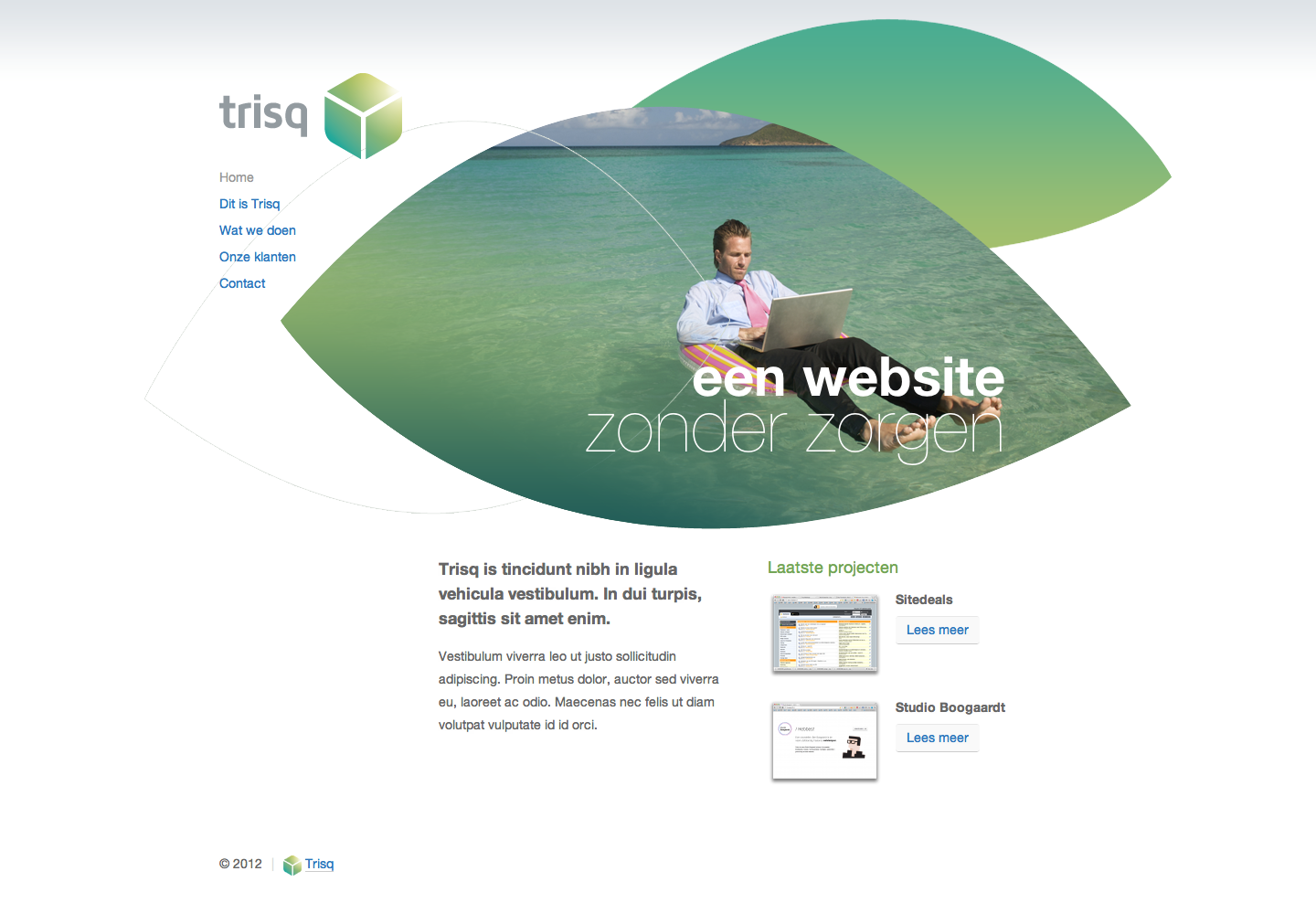 [!] Complete webbureau bedrijfswebsite incl. huisstijl - Trisq-trisq-website-png