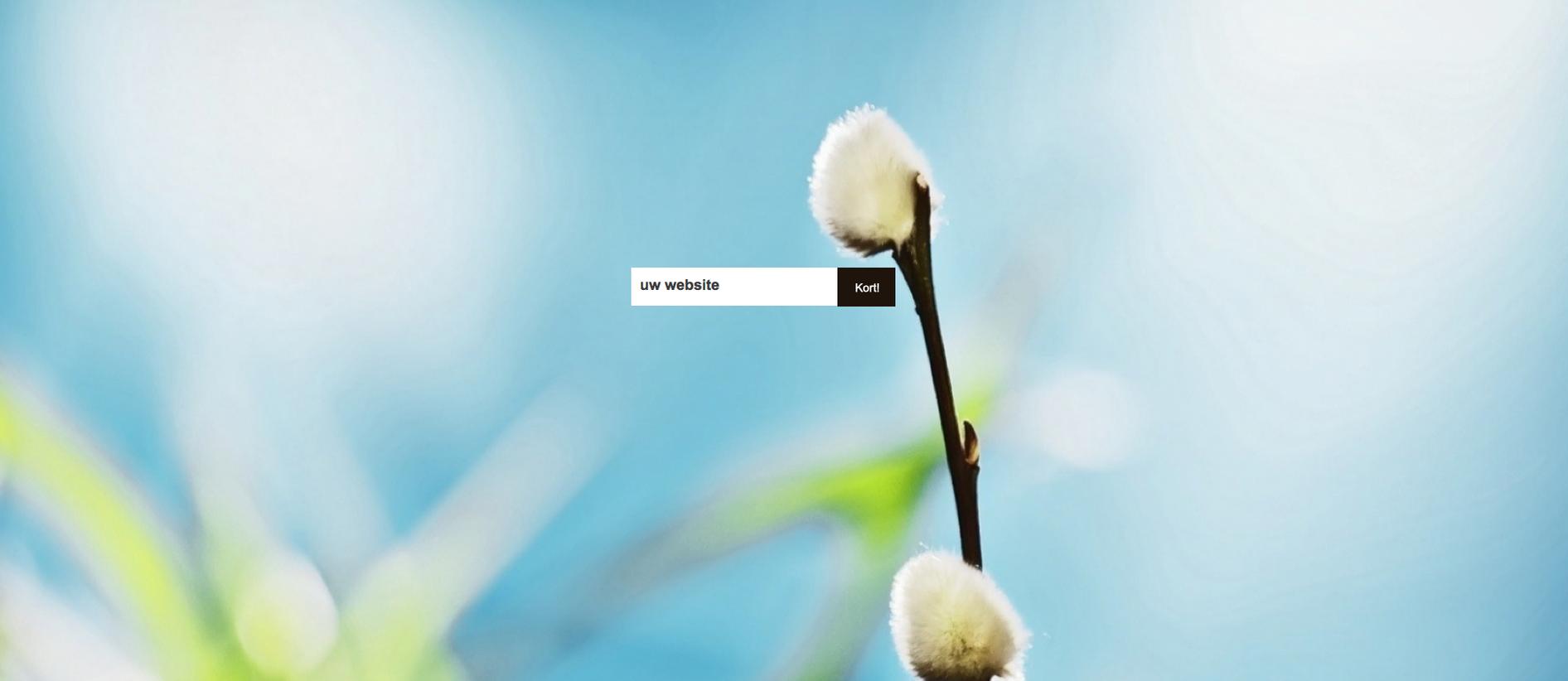 swis.be | website met script-schermafbeelding-2013-03-03-om-jpg
