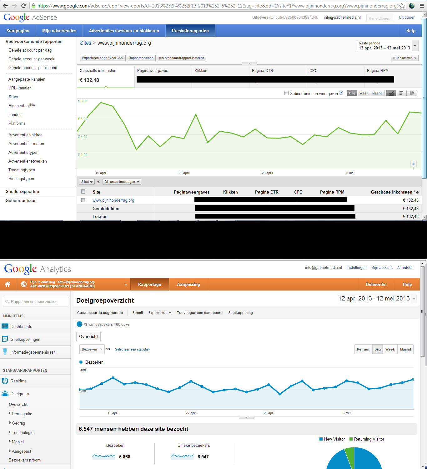 Medische adsense website | 130 euro inkomsten per maand!-pijninonderrug-png