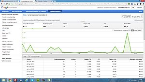 Adsense website met bezoekers en inkomsten-adsense-jpg