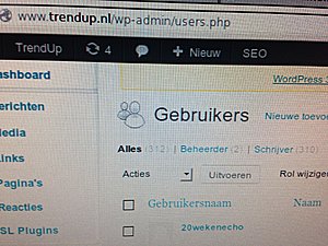 Artikel website 1500 bezoekers per maand. 307 schrijvers.-image-jpg