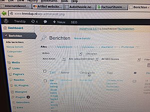 Artikel website 1500 bezoekers per maand. 307 schrijvers.-image-jpg