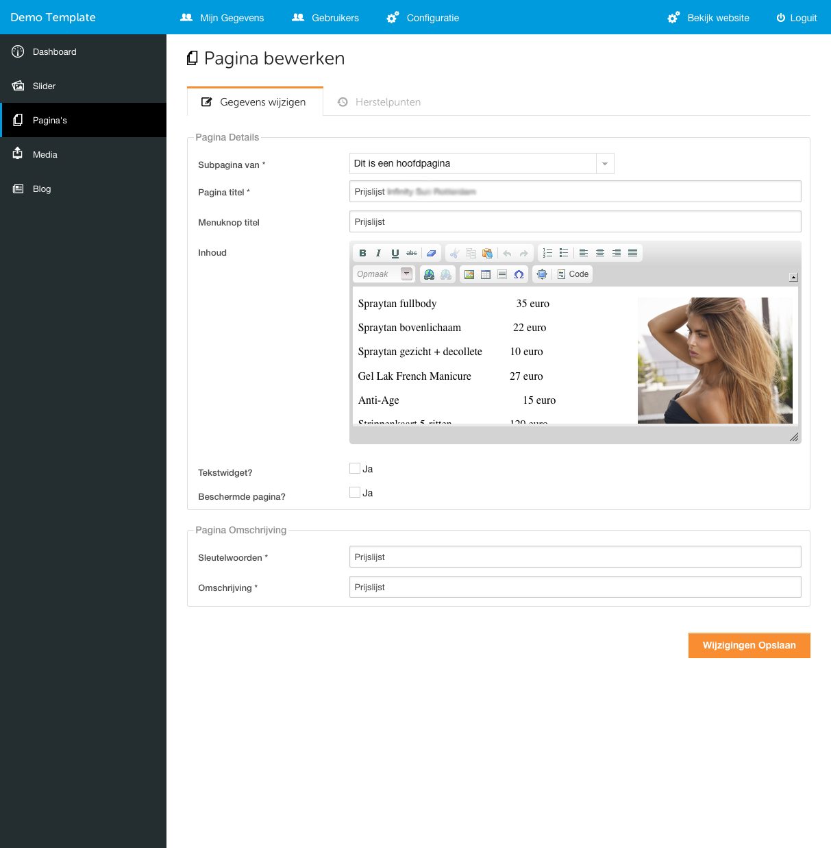 TK: Volledig functionerende website bieden v.a. 100 euro-demo_template_-_beheer_-_-_2014-04-10_17-png