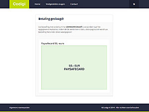 Codigi.nl | Volledig en gemoderniseerd concept | Full-responsive | Ready-to-go-s1-jpg
