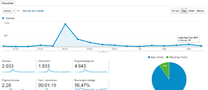 Webshop met goede omzet!-analytics-png