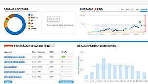 10.000 P/M Internationale Website Populaire TV-serie Niche GEEN RESERVE!-semrush-jpg