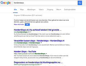 Leuke webshop met omzet-google-seo-jpg