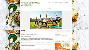 Affiliate website te koop - gezondafslankplan-jpg