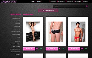 lingerie-toys.nl EMD PREMIUM domein naam automatische feeds dropshipping GEEN RESERVE-lingerie-toys-jpg