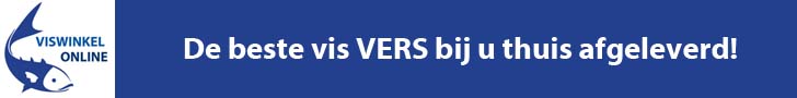 Viswinkel.online - Leuke niche met 7500 woorden tekst en affiliateprogramma-banner-viswinkel-online-728x90-jpg