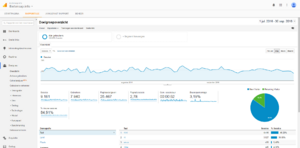 Niche website met bezoekers en inkomsten-analytics-png