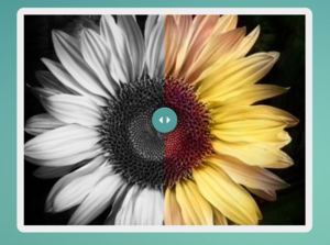 Deep learning - de hype op het internet. Automatisch zwart-wit foto's inkleuren-screen-shot-2017-01-at-png