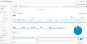 Top Domein: Bierdopje.nl + ADSENSE inkomsten-analytics-bd-png