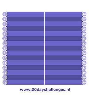 Grote fitnesswebsite te koop met veel bezoekers en potentie-day-challenges-schema-jpg