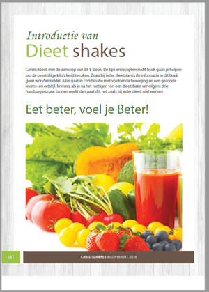 Dieetshake.nl  Website met Ebook en Top domeinnaam!-ebook2-png