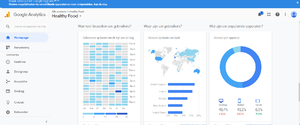 Healthyfood247.com | Engelse Adsense site | 24,41 inkomsten in 9 jaar-healthyfood2-png