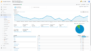 Prachtige webwinkel, 1899,71 omzet, 72 orders in 20 dagen. Grijp je kans!-analytics-png