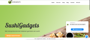 Nieuwe Dropshipping Website met Omzet!-schermafbeelding-2019-05-04-om-09-png