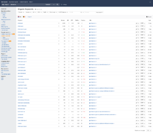 Klittenband Webwinkel - 1000bz/pm - 1500 omzet/jaar - Eigen voorraad of dropshipping-screencapture-tool3-rankious-positions-explorer-organic-keywords-v5-subdomains-all-all-all-png