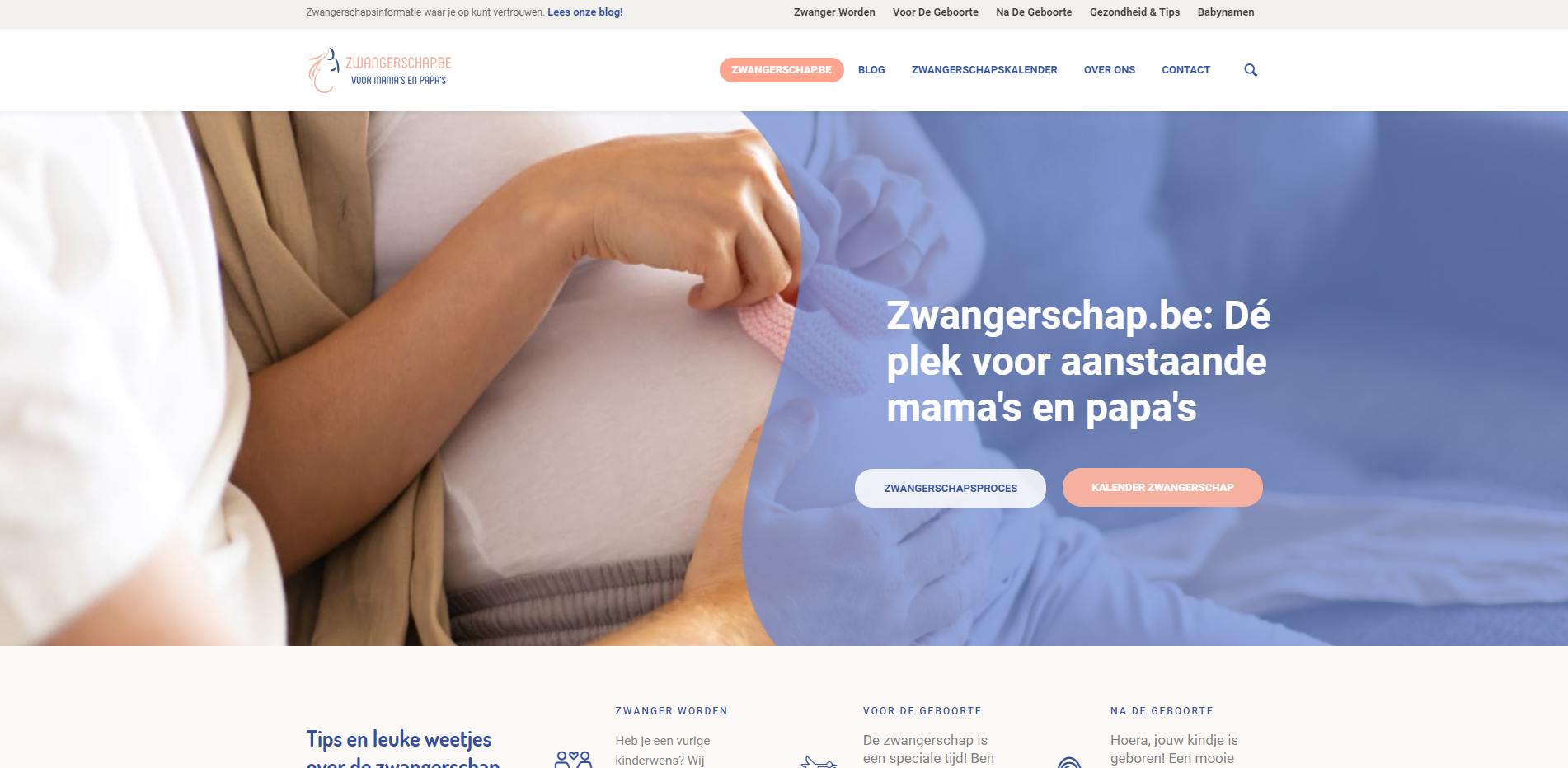 [VERKOCHT] Zwangerschap.be || Prachtige Responsive Website + Topdomeinnaam-zwangerschap-png