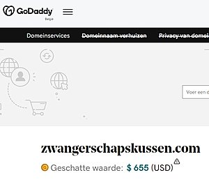 Zwangerschapskussen.com | 42 berichten 30752 woorden | GOOGLE ADSENSE BOL GOEDGEKEURD-godaddy-jpg