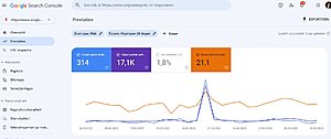 Zorgtoeslag website - Zorgtoeslaginfo.nl - met inkomsten en 10k unieke content!-zorgtoeslaginfo-jpg