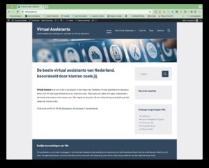 Website voor het vinden en beoordelen van Virtual Assistants - nog zonder inkomsten-scherm-afbeelding-2023-om-jpg
