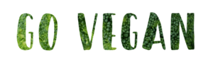 Free Vegan.de | 45 bezoekers p/dag (stijgende)  | 93 procent uit zoekverkeer-freevegan-1024x323-png