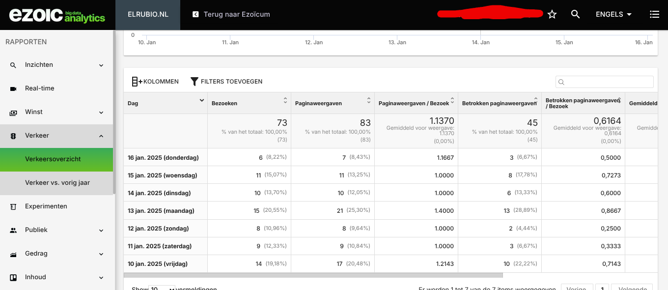 Website met Ezic inkomsten-screenshot-2025-01-png