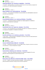 EcomGids | Tips voor e-commerce &amp; webshops (affiliate opties)-schermafbeelding-2025-02-om-png