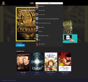 Te koop: Unieke Filmdirectory Website met de Nieuwste Films en Enorme Groeipotentie!-jpg