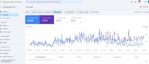 Recepten website (Cake) te koop met bezoekers en inkomsten (10 jaar oud)-google-search-console-maanden-pdf