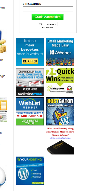 Wat staat er verkeerd? (banners)-2012-png