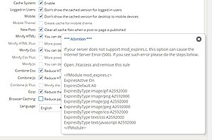 Website snelheid (?)-wp-fastest-cache-instellingen-jpg