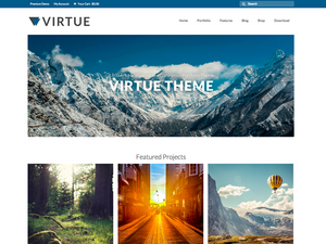 Theme ontwikkelen-screenshot-png